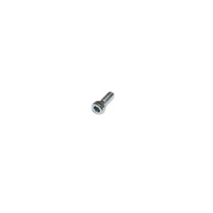 BMW cylinder head screw (M10x20)